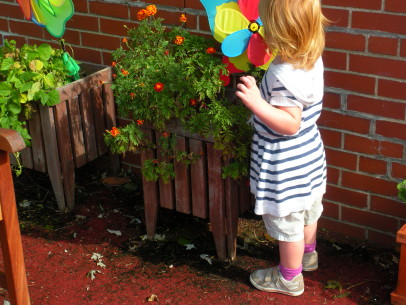 Gardening